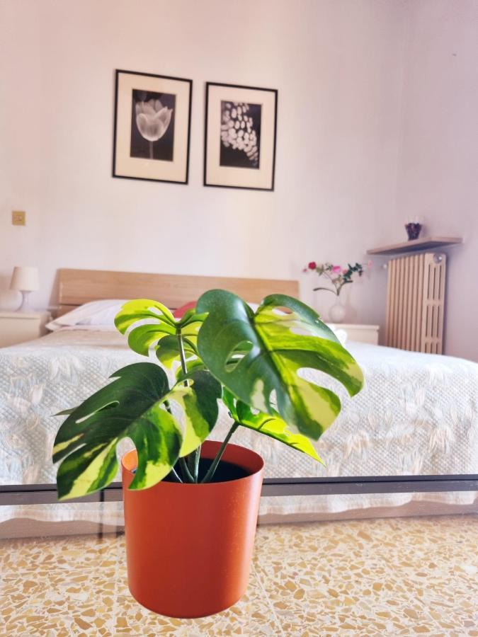 Prime Guest House Pisa Kültér fotó